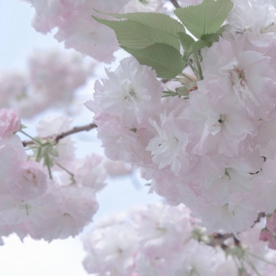 兽设赛博风格设计FurryQQ群